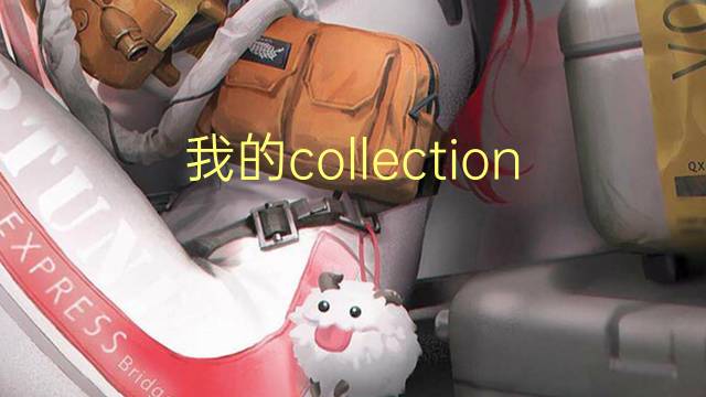 我的collection英语作文_高一满分英语作文2篇